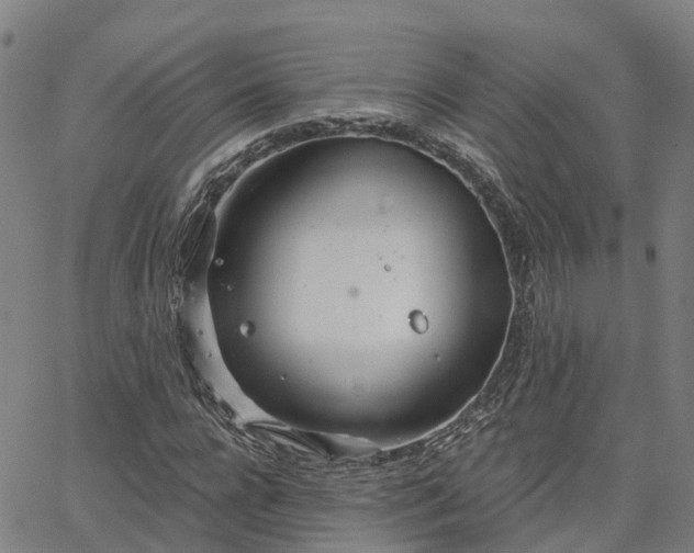 X0000063450920200601271535