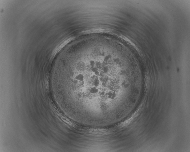 X0000063450921200601271535