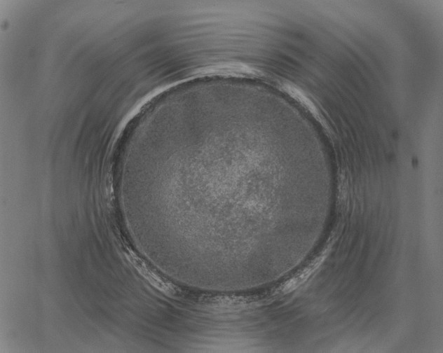 X0000063450923200601271535