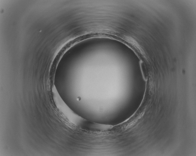 X0000063450924200601271535