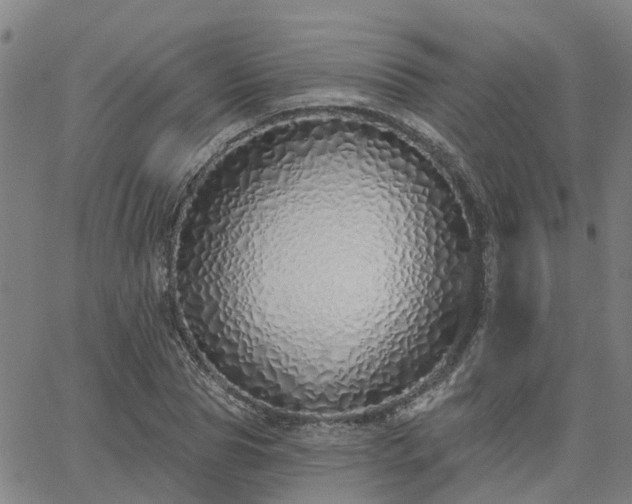 X0000063450929200601271535