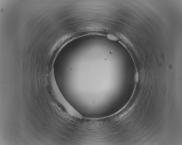 X0000063450930200601271535