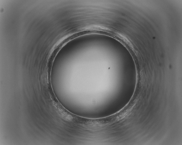 X0000063450931200601271535