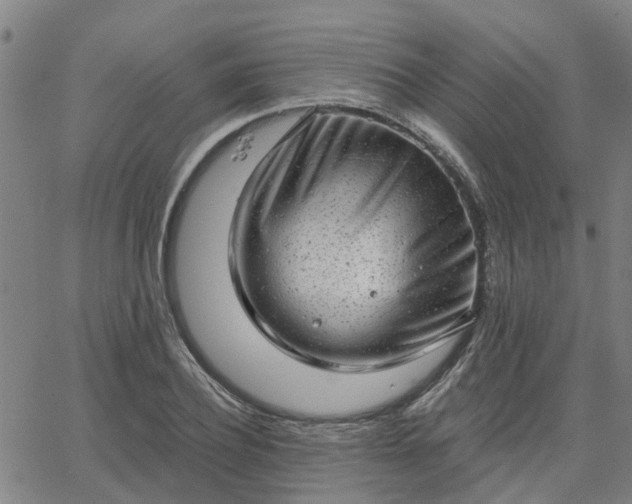 X0000063450932200601271535