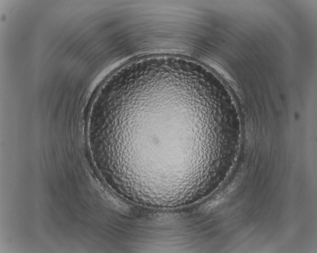 X0000063450933200601271535