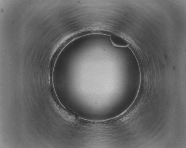 X0000063450934200601271535