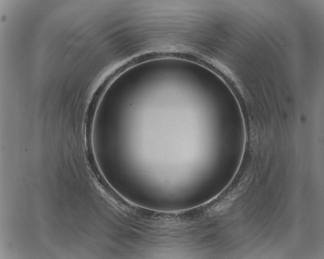 X0000063450935200601271535