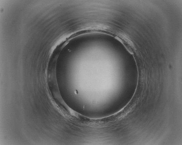 X0000063450936200601271535