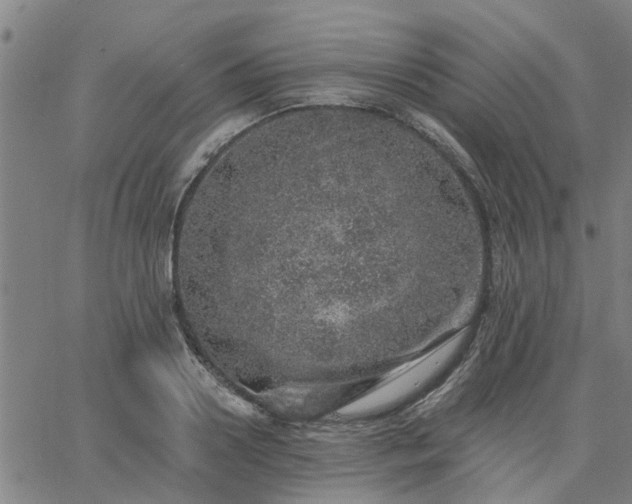 X0000063450938200601271535