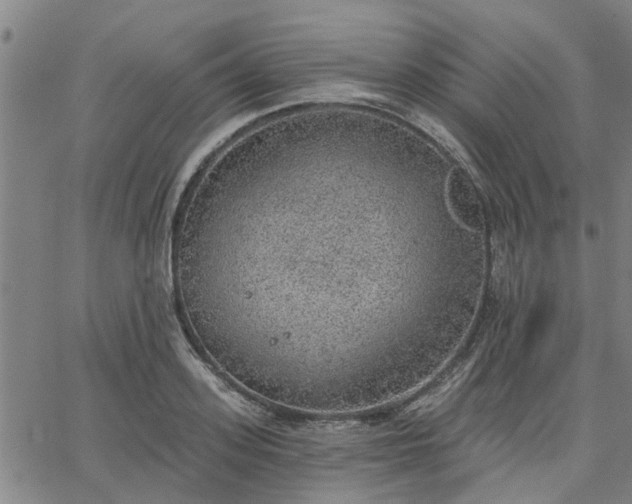 X0000063450939200601271535