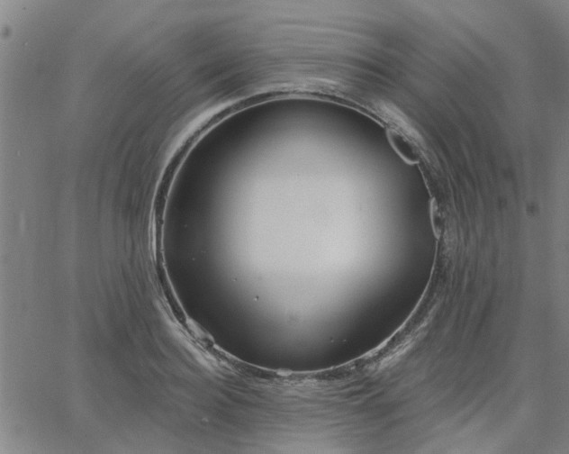 X0000063450940200601271535