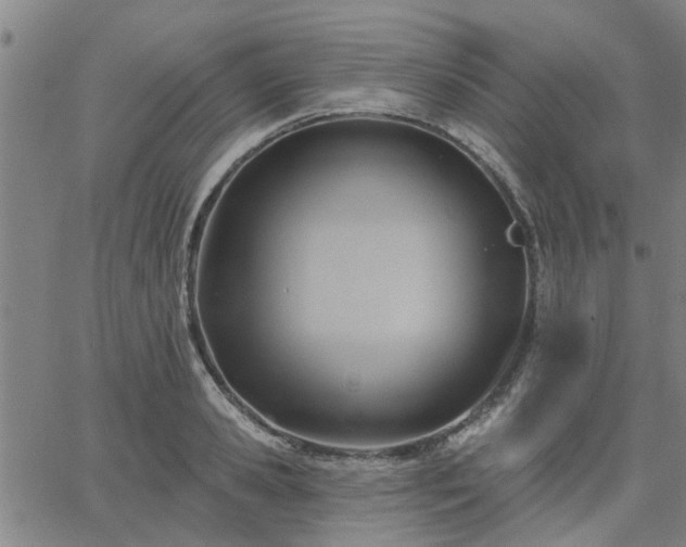 X0000063450941200601271535