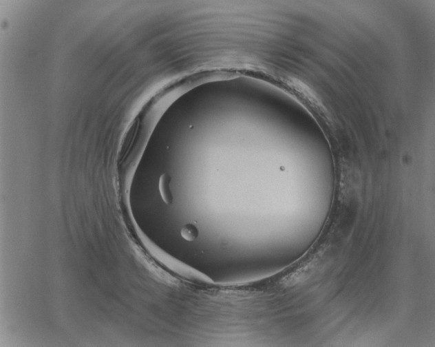 X0000063450942200601271535