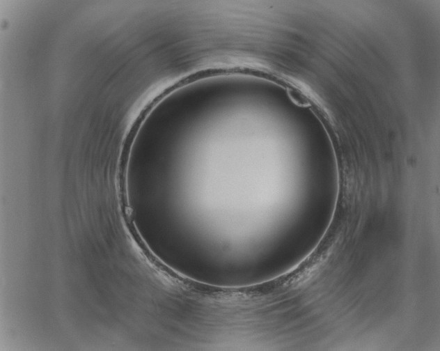 X0000063450943200601271535