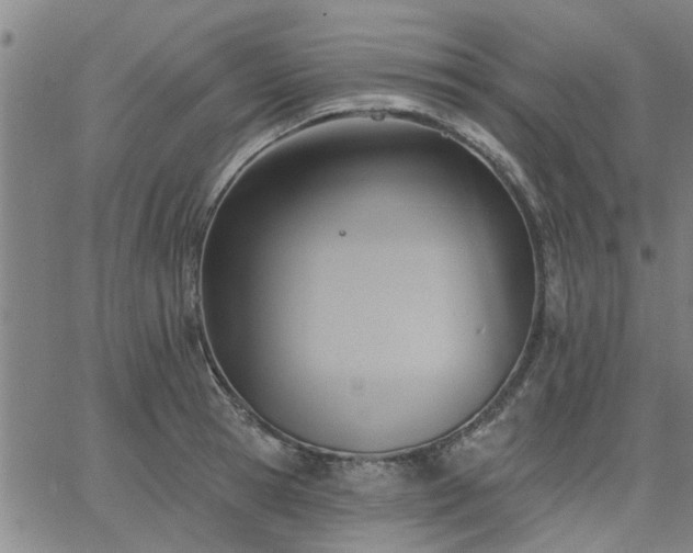 X0000063450945200601271535