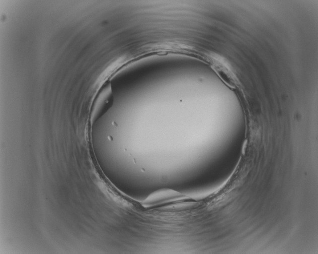 X0000063450946200601271535