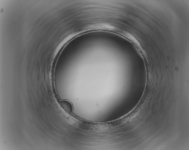 X0000063450947200601271535