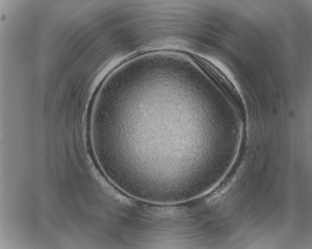 X0000063450949200601271536