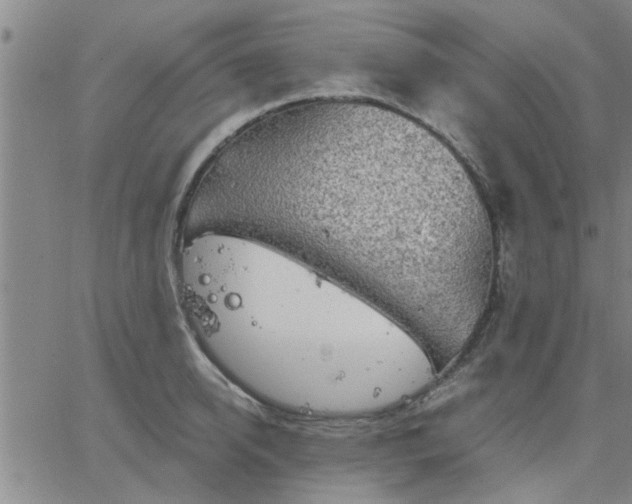 X0000063450950200601271536