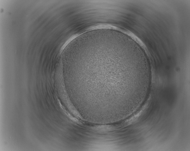 X0000063450953200601271536