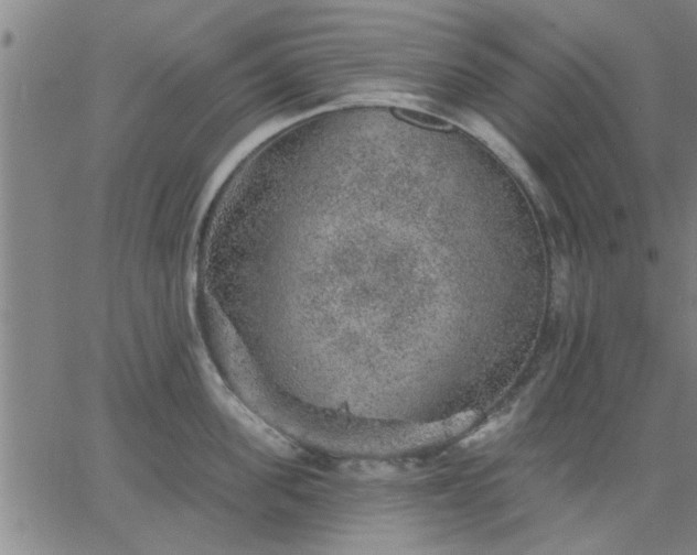 X0000063450955200601271536