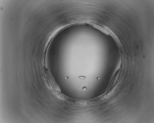 X0000063450956200601271536