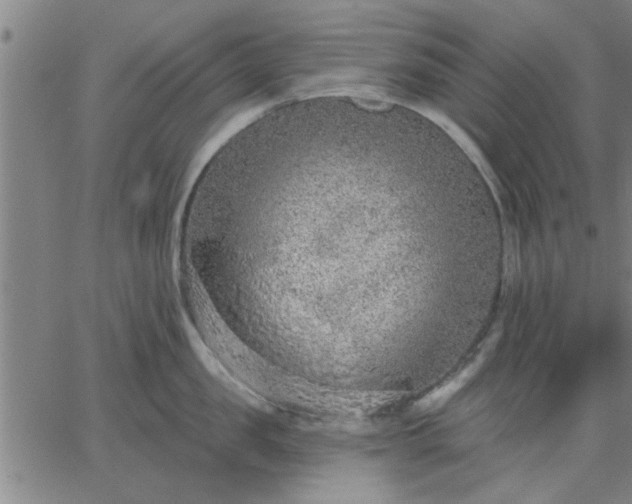 X0000063450957200601271536