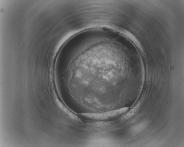 X0000063450958200601271536