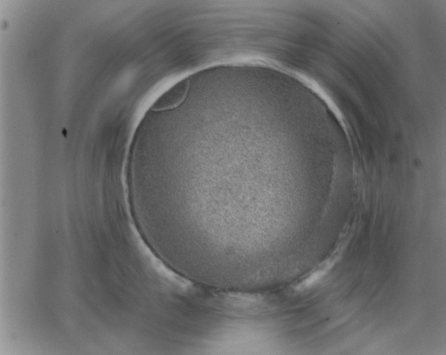 X0000063450959200601271536