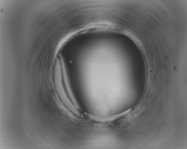 X0000063450960200601271536