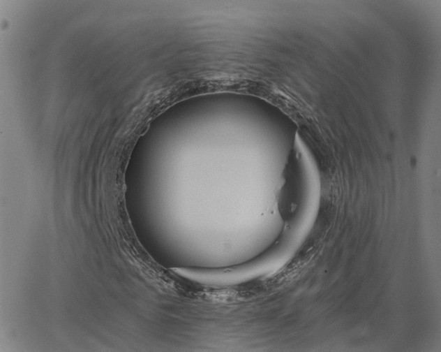 X0000063450961200601271535