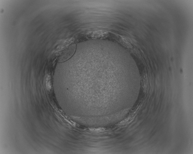 X0000063450962200601271535