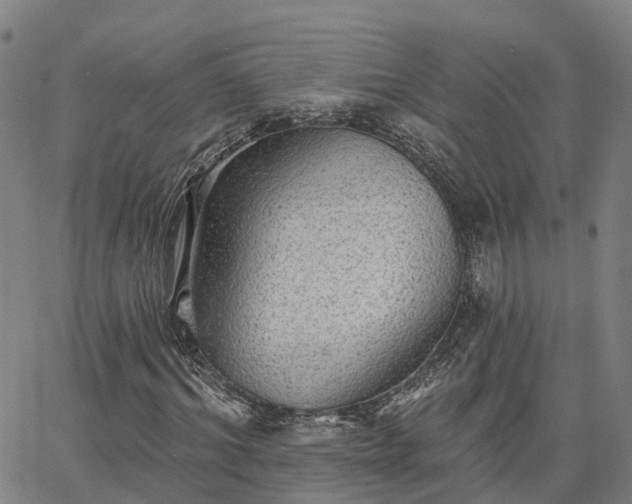 X0000063450964200601271535