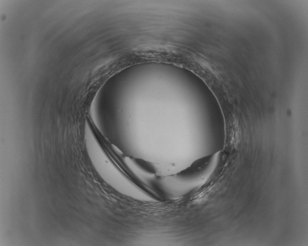 X0000063450965200601271535