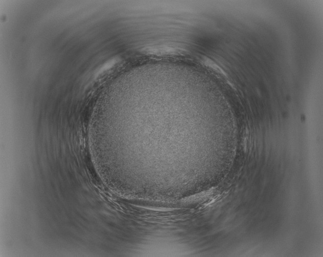 X0000063450966200601271535