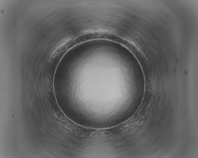 X0000063450967200601271535