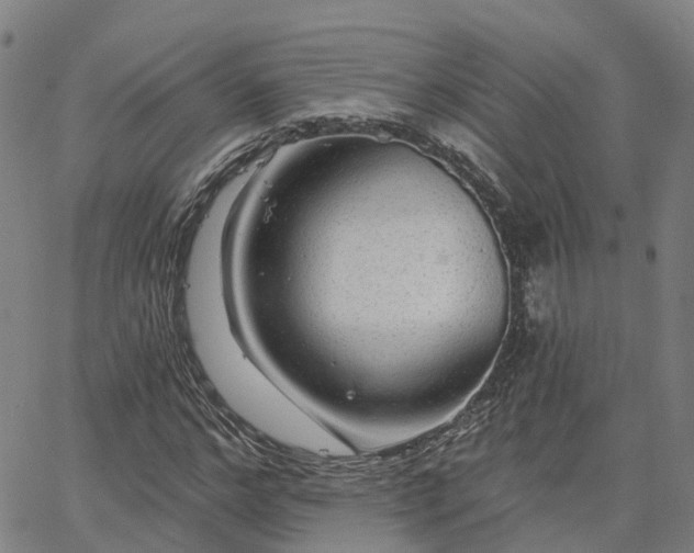 X0000063450968200601271535