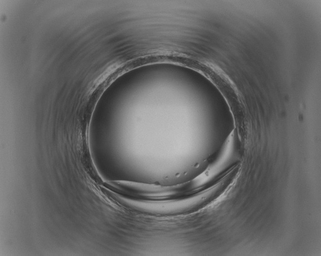 X0000063450969200601271535