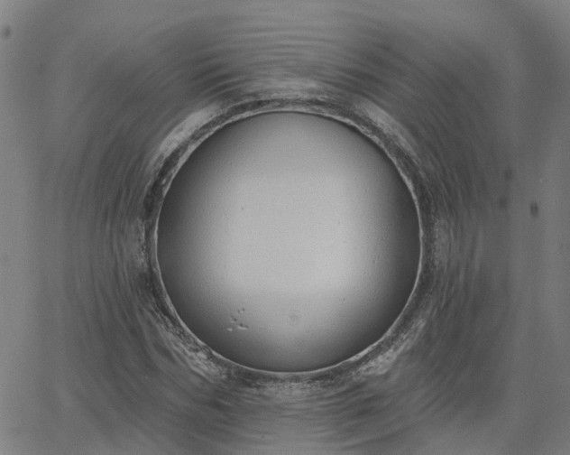 X0000063450970200601271535