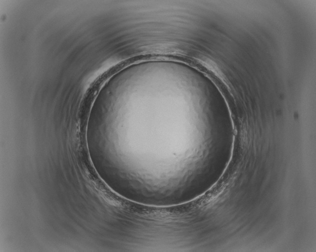 X0000063450971200601271535