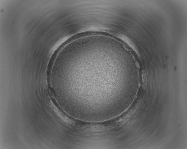 X0000063450972200601271535