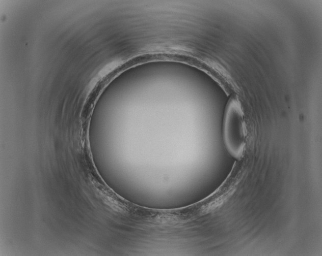 X0000063450974200601271535