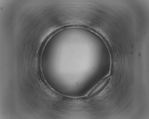 X0000063450975200601271535