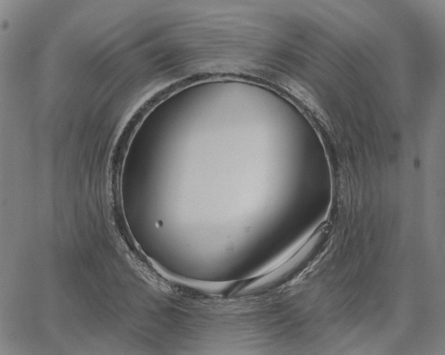 X0000063450976200601271535