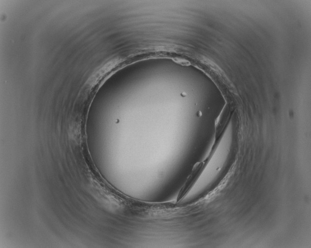 X0000063450977200601271535