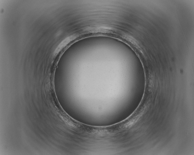 X0000063450978200601271535