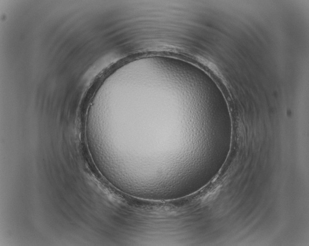 X0000063450979200601271535