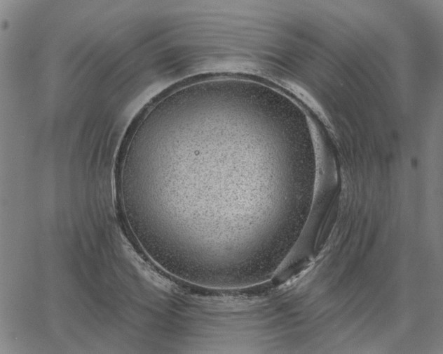 X0000063450980200601271535