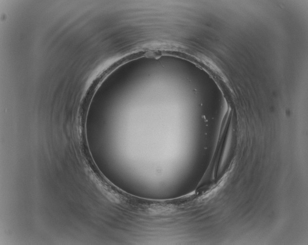 X0000063450981200601271535