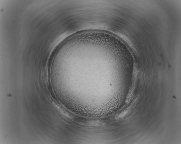 X0000063450982200601271535